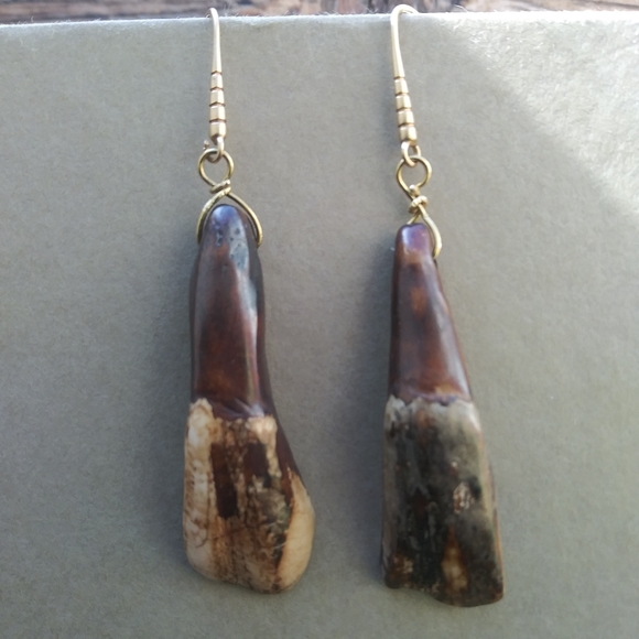 Genuine American Buffalo Tooth Earrings - Picture 4 of 4